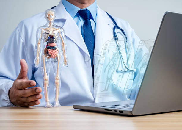 Online Biology Tutor for Scottish Highers: What Should Parents Look For?